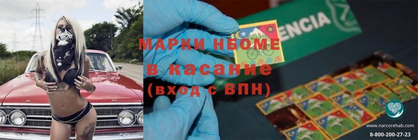 хмурый Ельня