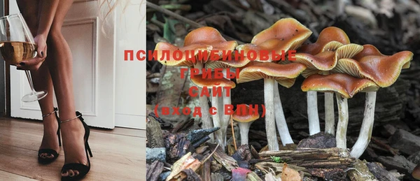 не бодяженный Семёнов