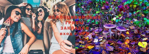 spice Семилуки