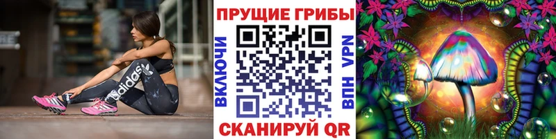 наркотики  Южа  Псилоцибиновые грибы мухоморы 